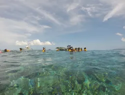 Day Trip to Minna Island with Lunch
